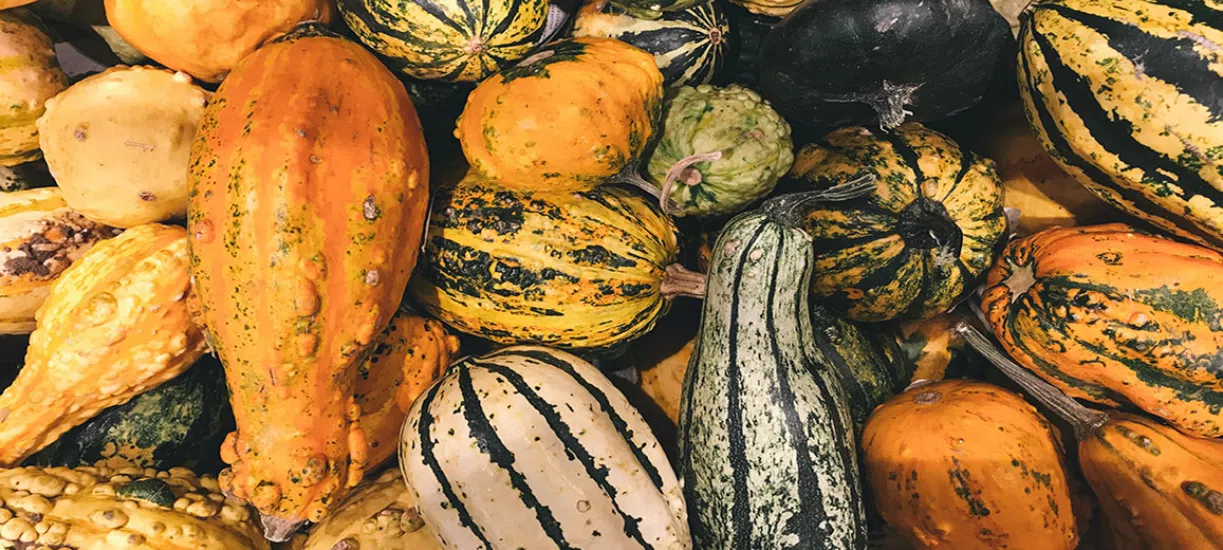 Savez-vous quels fruits et légumes récolter en automne?