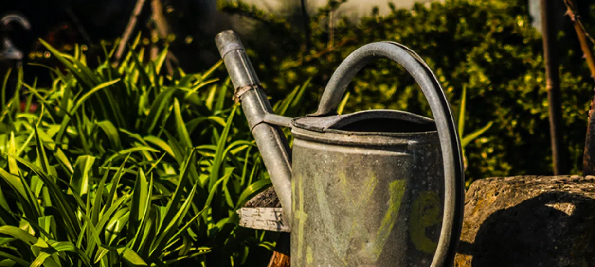 L'arrosage écologique au jardin devient de plus en plus important dans notre société. On vous donne astuces et conseils pour économiser l'eau dans votre jardin.