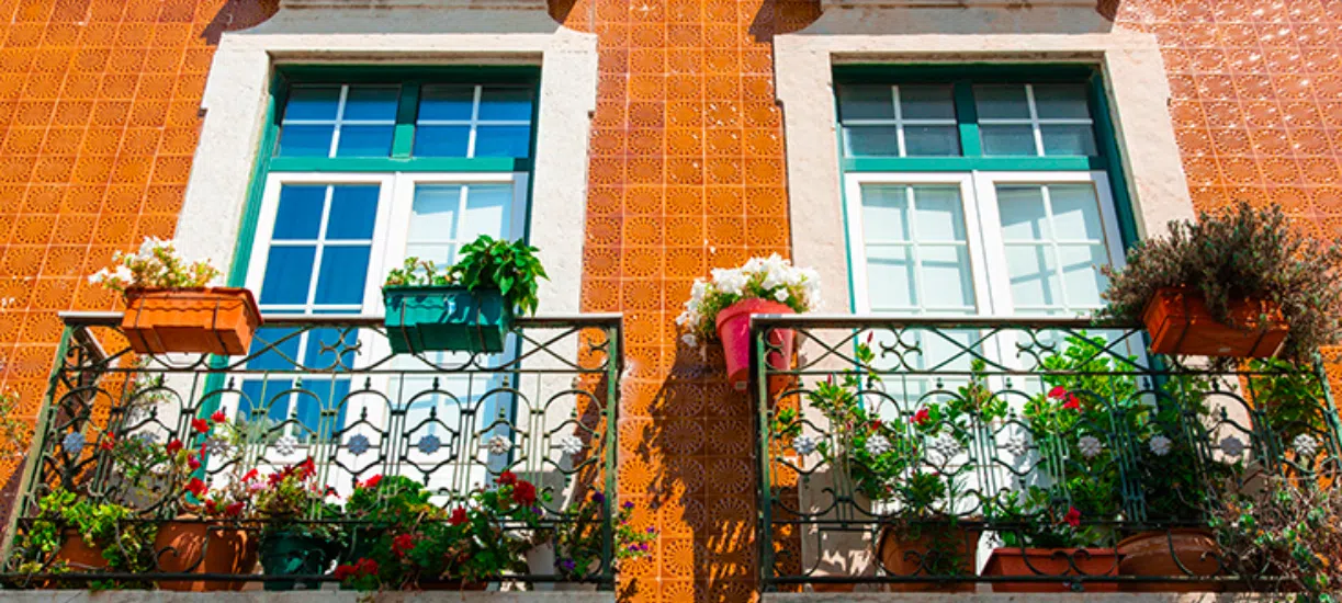 Cmonjardinier a fait pour vous une sélection de plantes à mettre sur le balcon si vous habitez en ville. N'hésitez pas à suivre nos conseils !