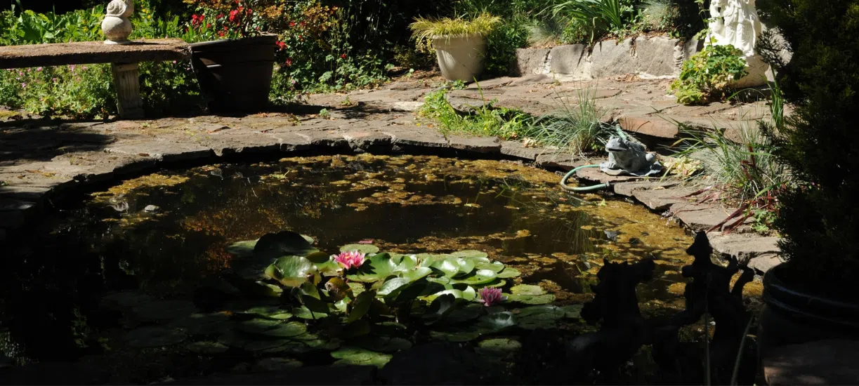 Cmonjardinier vous fait une sélection d'équipement de bassin de jardin.