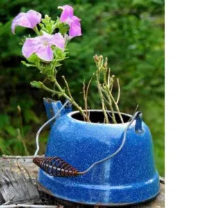 Pots de fleurs originaux et insolites en théière