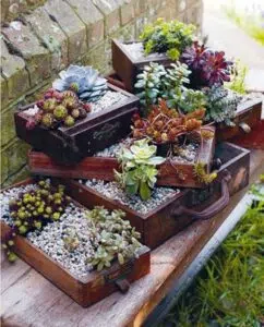 Pots de fleurs en tiroirs